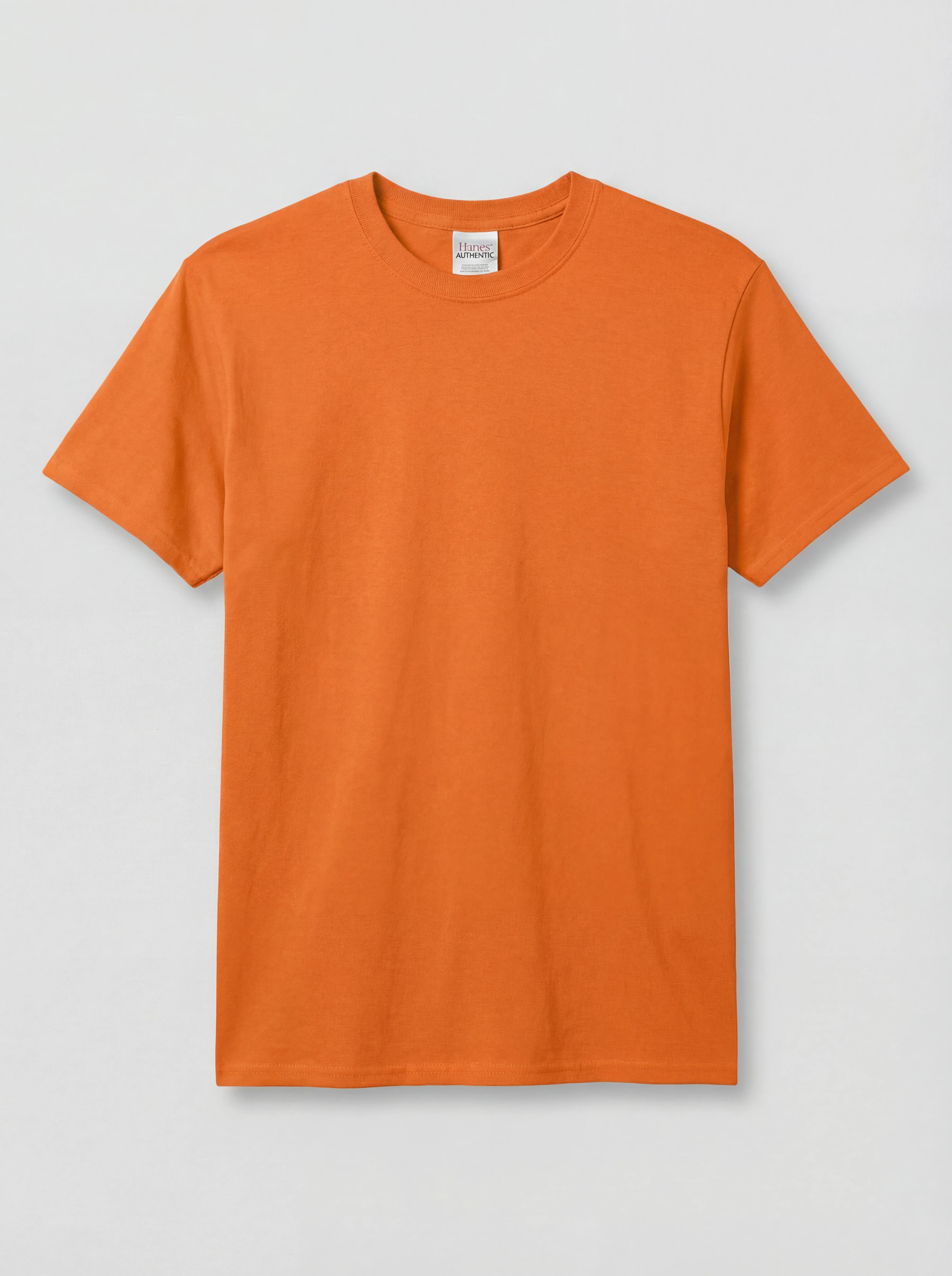 Hanes 5250 Authentic Short Sleeve T-Shirt